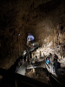 おきなわワールドに投稿された画像（2023/11/28）