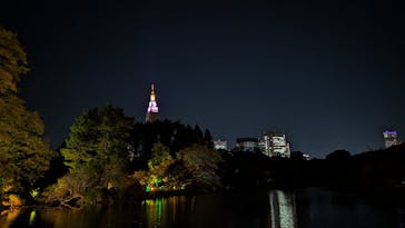 NAKED 紅葉の新宿御苑2023に投稿された画像（2023/11/28）