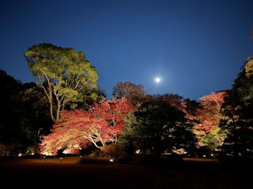 六義園に投稿された画像（2023/11/28）