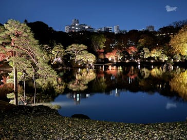 六義園に投稿された画像（2023/11/28）