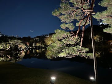 六義園に投稿された画像（2023/11/28）