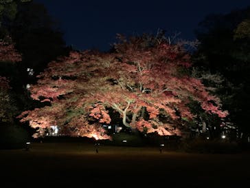 六義園に投稿された画像（2023/11/28）