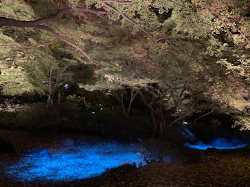 六義園に投稿された画像（2023/11/28）