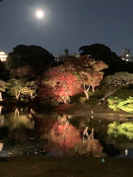 六義園に投稿された画像（2023/11/28）