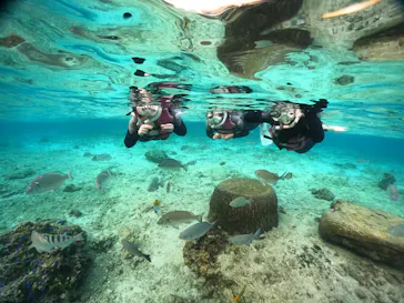 武藤潜水に投稿された画像（2023/11/29）