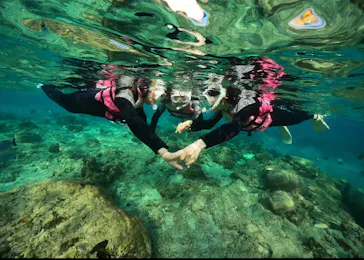 武藤潜水に投稿された画像（2023/11/29）