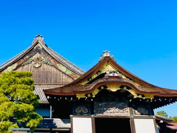 NAKED meets 二条城 2025 観月に投稿された画像（2023/11/29）