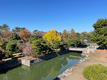 NAKED meets 二条城 2025 観月に投稿された画像（2023/11/29）