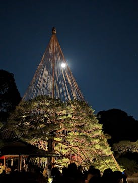 六義園に投稿された画像（2023/11/29）