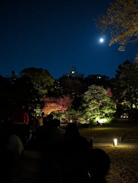 六義園に投稿された画像（2023/11/29）