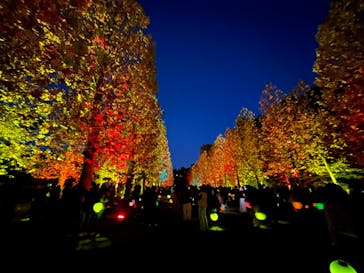 NAKED 紅葉の新宿御苑2023に投稿された画像（2023/11/29）