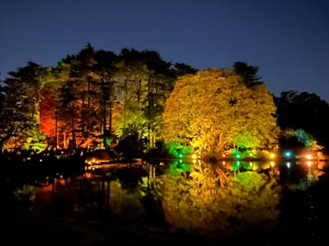 NAKED 紅葉の新宿御苑2023に投稿された画像（2023/11/29）