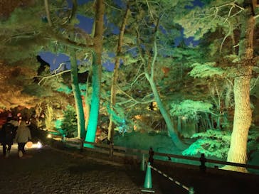 NAKED 紅葉の新宿御苑2023に投稿された画像（2023/11/29）