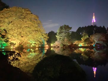 NAKED 紅葉の新宿御苑2023に投稿された画像（2023/11/29）