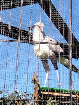 東武動物公園に投稿された画像（2023/11/29）