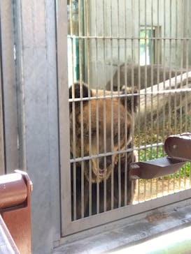 東武動物公園に投稿された画像（2023/11/29）