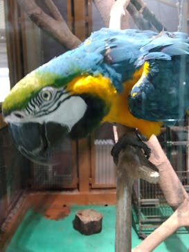 東武動物公園に投稿された画像（2023/11/29）