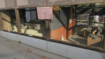 宇都宮動物園に投稿された画像（2023/11/29）