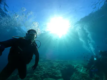 武藤潜水に投稿された画像（2023/11/29）