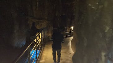 おきなわワールドに投稿された画像（2023/11/29）