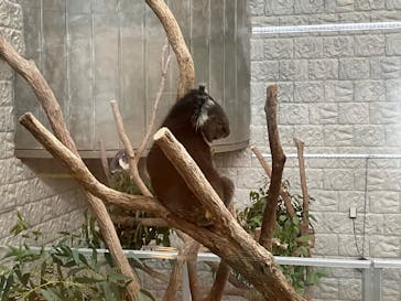 淡路ファームパーク イングランドの丘に投稿された画像（2023/11/29）