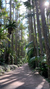 美らヤシパークオキナワ・東南植物楽園に投稿された画像（2023/11/29）