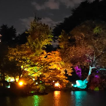 NAKED 紅葉の新宿御苑2023に投稿された画像（2023/11/29）