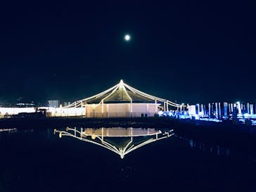 東京メガイルミに投稿された画像（2023/11/29）