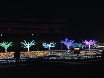 東京メガイルミに投稿された画像（2023/11/29）