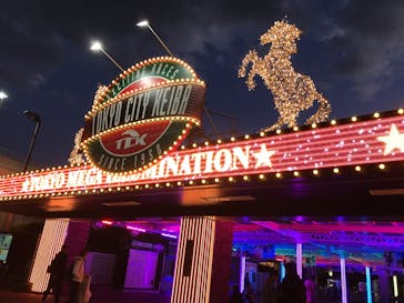 東京メガイルミに投稿された画像（2023/11/29）