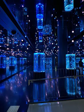 マクセル アクアパーク品川に投稿された画像（2023/11/29）