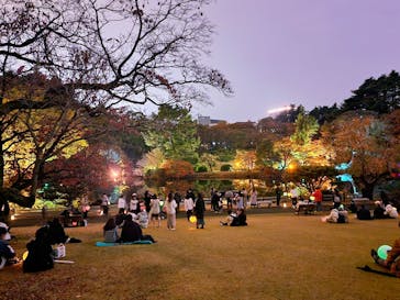 NAKED 紅葉の新宿御苑2023に投稿された画像（2023/11/29）