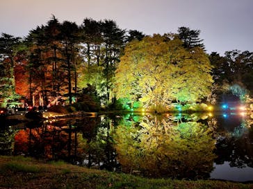 NAKED 紅葉の新宿御苑2023に投稿された画像（2023/11/29）