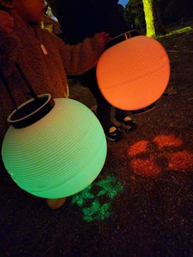 NAKED 紅葉の新宿御苑2023に投稿された画像（2023/11/29）