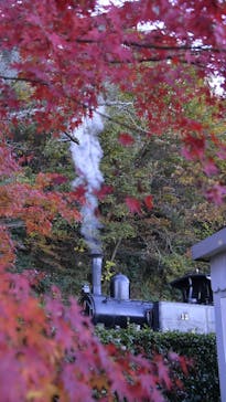 博物館 明治村に投稿された画像（2023/11/29）