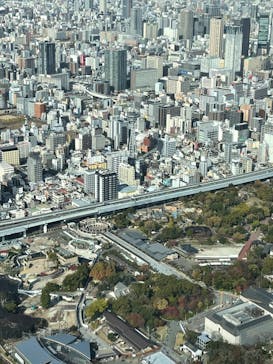 ハルカス300(展望台)に投稿された画像（2023/11/29）