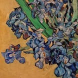 ゴッホと静物画　伝統から革新へ（SＯＭＰＯ美術館）に投稿された画像（2023/11/29）