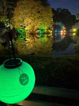 NAKED 紅葉の新宿御苑2023に投稿された画像（2023/11/29）