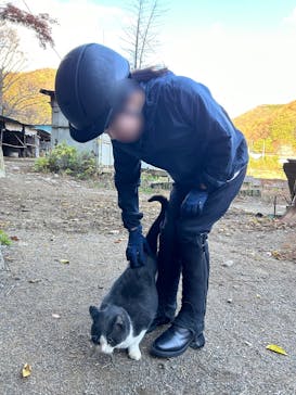 グリーングラス乗馬クラブに投稿された画像（2023/11/29）