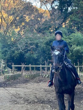 グリーングラス乗馬クラブに投稿された画像（2023/11/29）