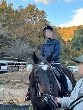 グリーングラス乗馬クラブに投稿された画像（2023/11/29）