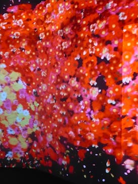 チームラボに投稿された画像（2023/11/29）