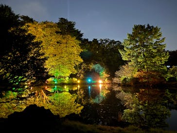 NAKED 紅葉の新宿御苑2023に投稿された画像（2023/11/29）