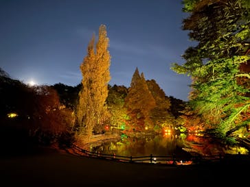 NAKED 紅葉の新宿御苑2023に投稿された画像（2023/11/29）