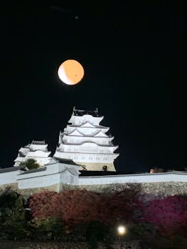 姫路城（イベント）に投稿された画像（2023/11/29）
