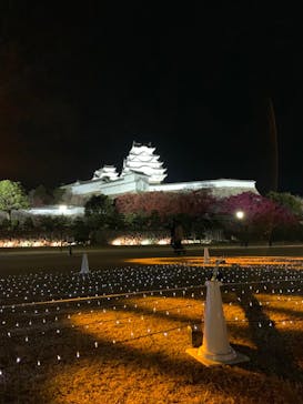 姫路城（イベント）に投稿された画像（2023/11/29）