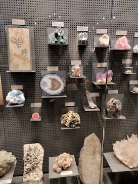 福井県立恐竜博物館に投稿された画像（2023/11/29）