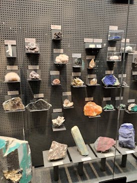 福井県立恐竜博物館に投稿された画像（2023/11/29）