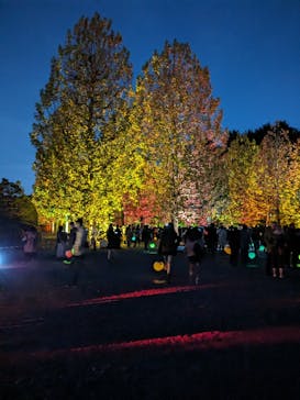 NAKED 紅葉の新宿御苑2023に投稿された画像（2023/11/29）