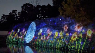 NAKED meets 二条城 2025 観月に投稿された画像（2023/11/29）